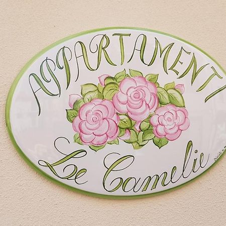 Le Camelie -Appartamenti Nuovi Porto SantʼElpidio Exteriér fotografie