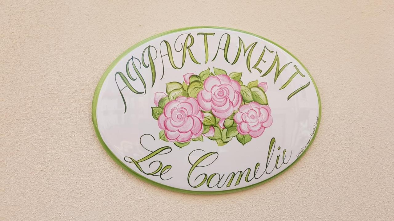 Le Camelie -Appartamenti Nuovi Porto SantʼElpidio Exteriér fotografie